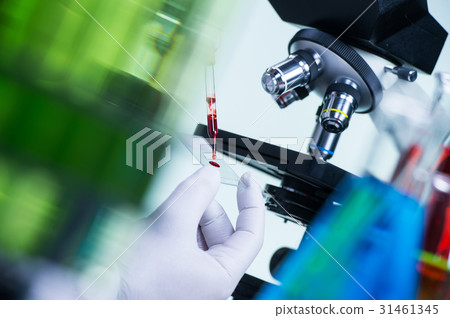 Laboratory scientist holding a slide containing a blood sample w 31461345