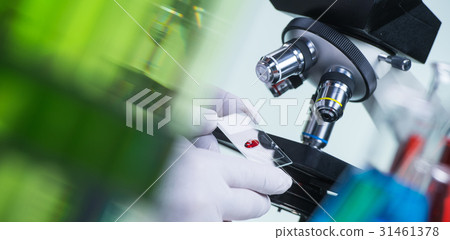 Laboratory scientist holding a slide containing a blood sample w 31461378