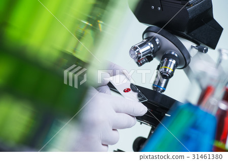 Laboratory scientist holding a slide containing a blood sample w 31461380