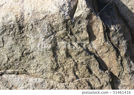 Rough rough skin Rough rough skin 31461416