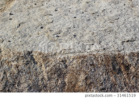 Rough rough skin 31461519