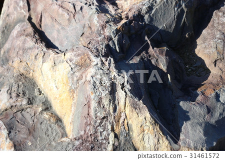 Rough rough skin 31461572