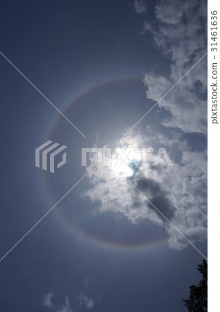 光環：陽光（大氣光學現象，當施加薄雲時，彩虹色環在太陽周圍出現） 31461636