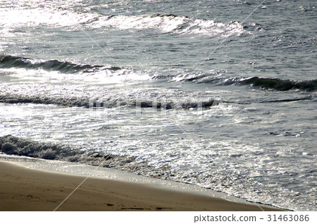 Japan Sea Winter 11 31463086