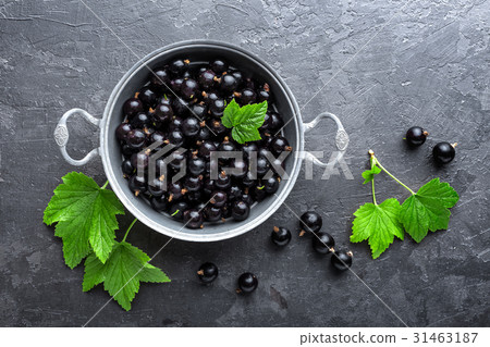 Blackcurrant berries with leaves, black currant 31463187