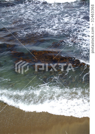 Japan Sea Winter 24 Japan Sea Winter 24 31463368