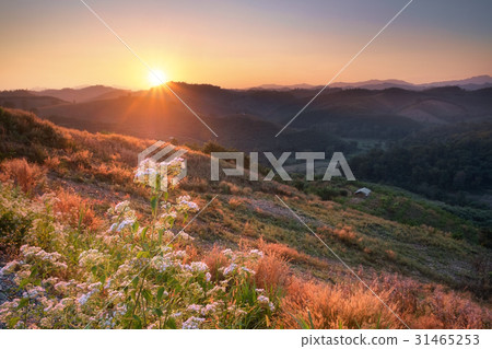 Sunset view on mountain at Nan province, Thailand. Sunset view on mountain at Nan province, Thailand. 31465253