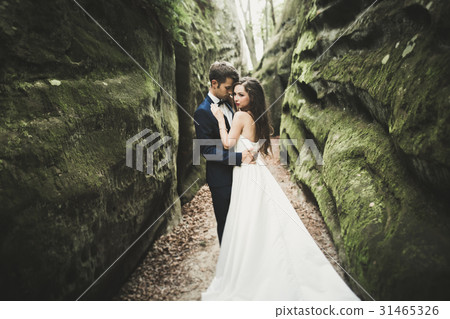Happy wedding couple kissing and hugging near a Happy wedding couple kissing and hugging near a 31465326