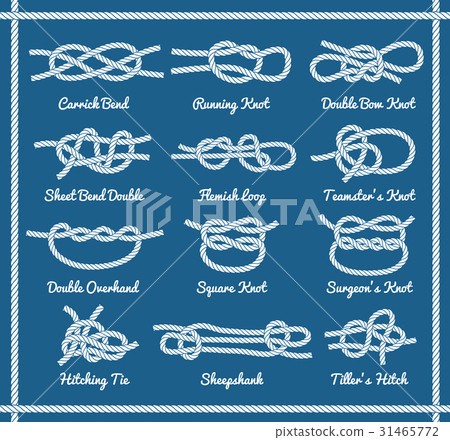 Set of rope knots, hitches, bows, bends Set of rope knots, hitches, bows, bends 31465772