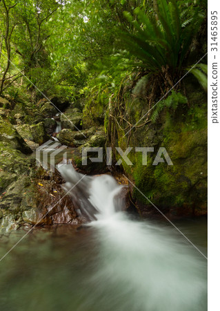 Quaternary water park Quaternary water park 31465895