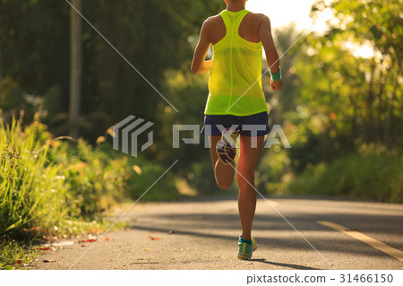 Young fitness woman running on forest trail 31466150