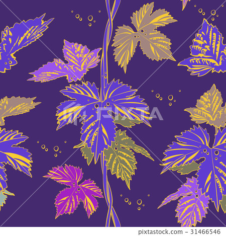 Abstract purple vine liana leaves hops Abstract purple vine liana leaves hops 31466546