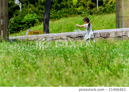 A girl playing in the park A girl playing in the park 31466861