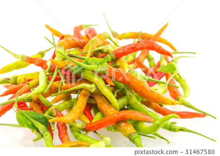Red chili pepper on white background Red chili pepper on white background 31467580