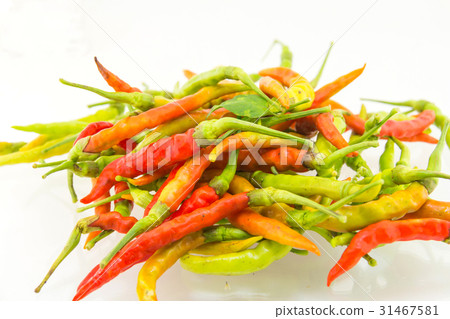 Red chili pepper on white background Red chili pepper on white background 31467581