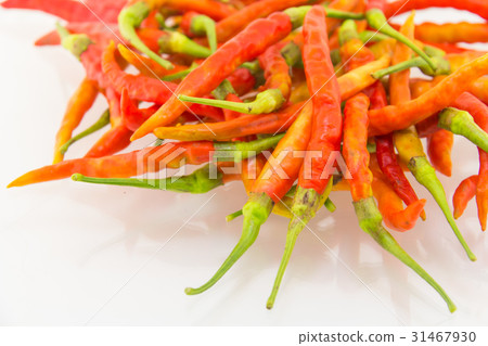 Red chili pepper on white background Red chili pepper on white background 31467930