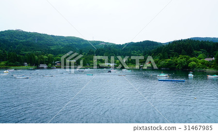 箱根鎮湖濱 31467985
