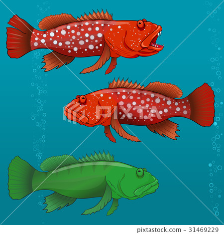 Common Harlequin Fish. Vector illustration 31469229