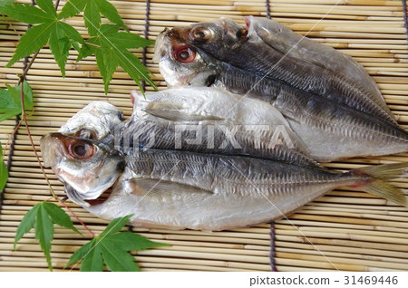 幹馬鯖魚 幹馬鯖魚 31469446