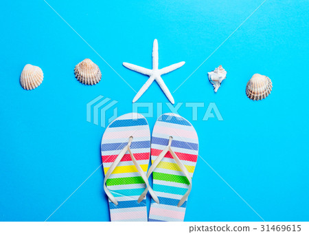 sandals, seashells and starfish 31469615