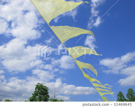 Blue sky image of early summer 31469645