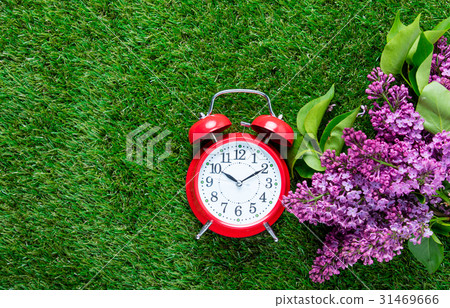 alarm clock and lilacs 31469666