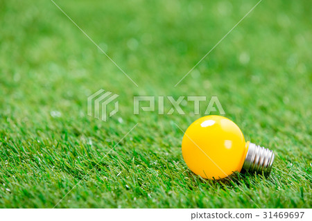 bulb on grass bulb on grass 31469697