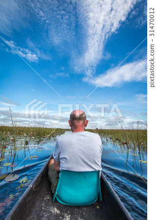 Mokoro trip in the Okavango delta. 31470012