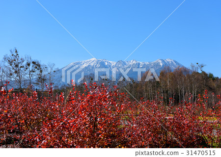 Nagano Koda Kogen Kiso Ma's Village and Ontakeyama 31470515