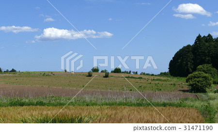 Ibaraki prefecture field sky 31471190
