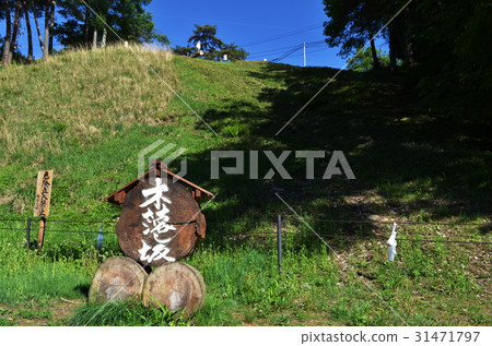 Suwa Taisha Kin Fells Slope Suwa Taisha Kin Fells Slope 31471797