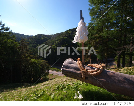 Su訪Taisha Kin Fells Slope Su訪Taisha Kin Fells Slope 31471799