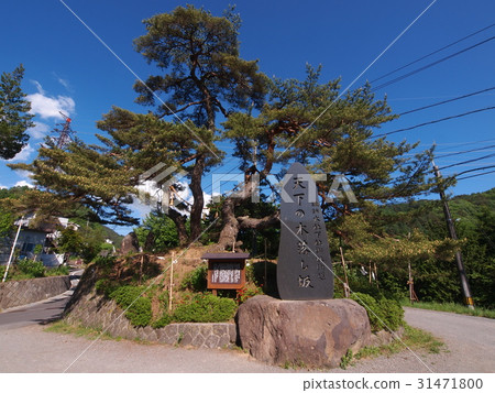 Su訪Taisha Kin Fells Slope Su訪Taisha Kin Fells Slope 31471800