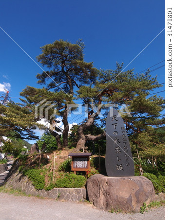 Suwa Taisha Kin Fells Slope Suwa Taisha Kin Fells Slope 31471801