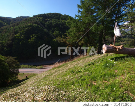 Su訪Taisha Kin Fells Slope Su訪Taisha Kin Fells Slope 31471803