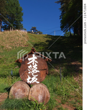 Su訪Taisha Kin Fells Slope Su訪Taisha Kin Fells Slope 31471804