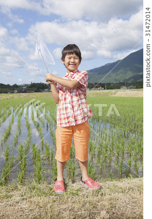 Children playing in the field Children playing in the field 31472014