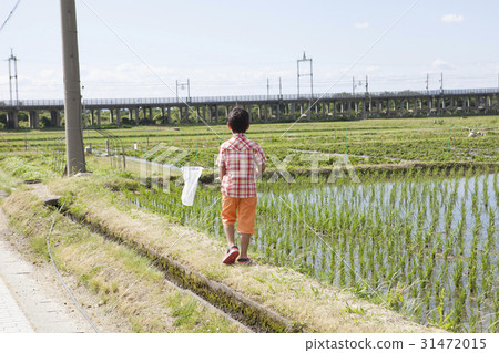 Children playing in the field Children playing in the field 31472015