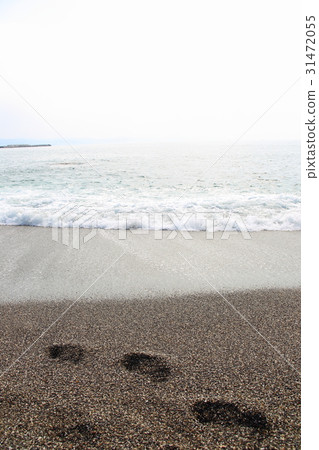 To the sea To the sea 31472055