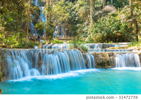 Waterfall in forest, names " Tat Kuang Si  31472739