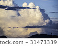 Thunbergye 31473339