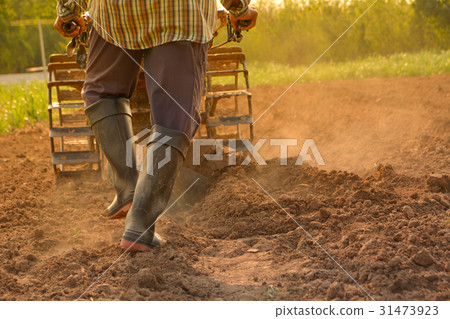 Man working in the garden with garden tiller. 31473923