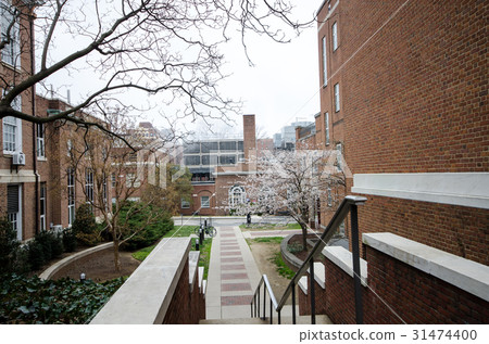 Johns Hopkins University Johns Hopkins University Johns Hopkins University Johns Hopkins University 31474400