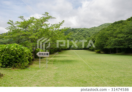 Inatori Plateau 31474586