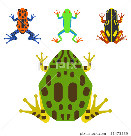 Frog cartoon tropical animal cartoon amphibian 31475389