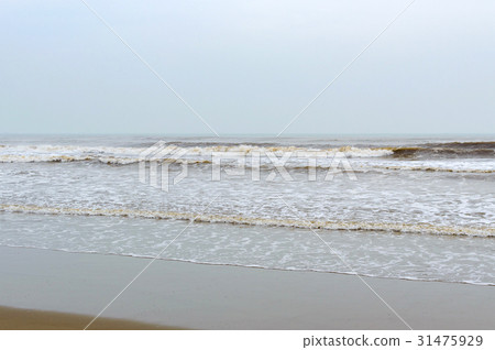 Lonely wild sand beach in Vietnam Lonely wild sand beach in Vietnam 31475929
