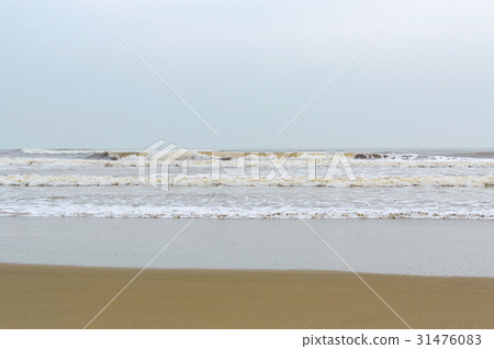 Lonely wild sand beach in Vietnam Lonely wild sand beach in Vietnam 31476083