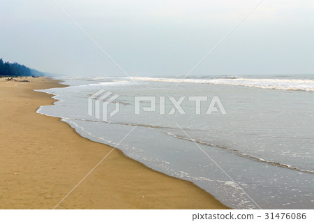 Lonely wild sand beach in Vietnam Lonely wild sand beach in Vietnam 31476086