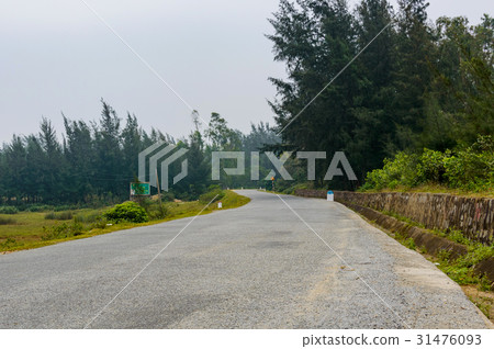 curve of the road curve of the road 31476093