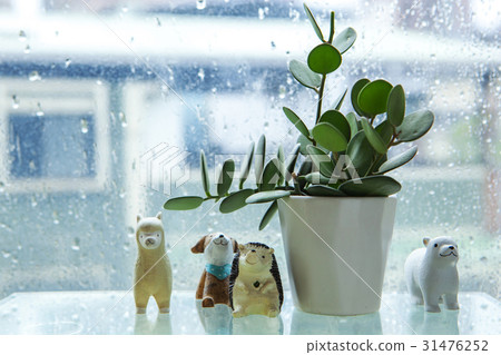 陰雨天氣,窗台,花盤,王子,雨,窗戶,花盆,娃娃,雨,窗台,娃娃 陰雨天氣,窗台,花盤,王子,雨,窗戶,花盆,娃娃,雨,窗台,娃娃 31476252